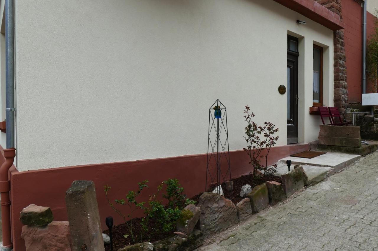 Apartment Le Des Sources: Nature, Randonnees, Detente. Oberbronn