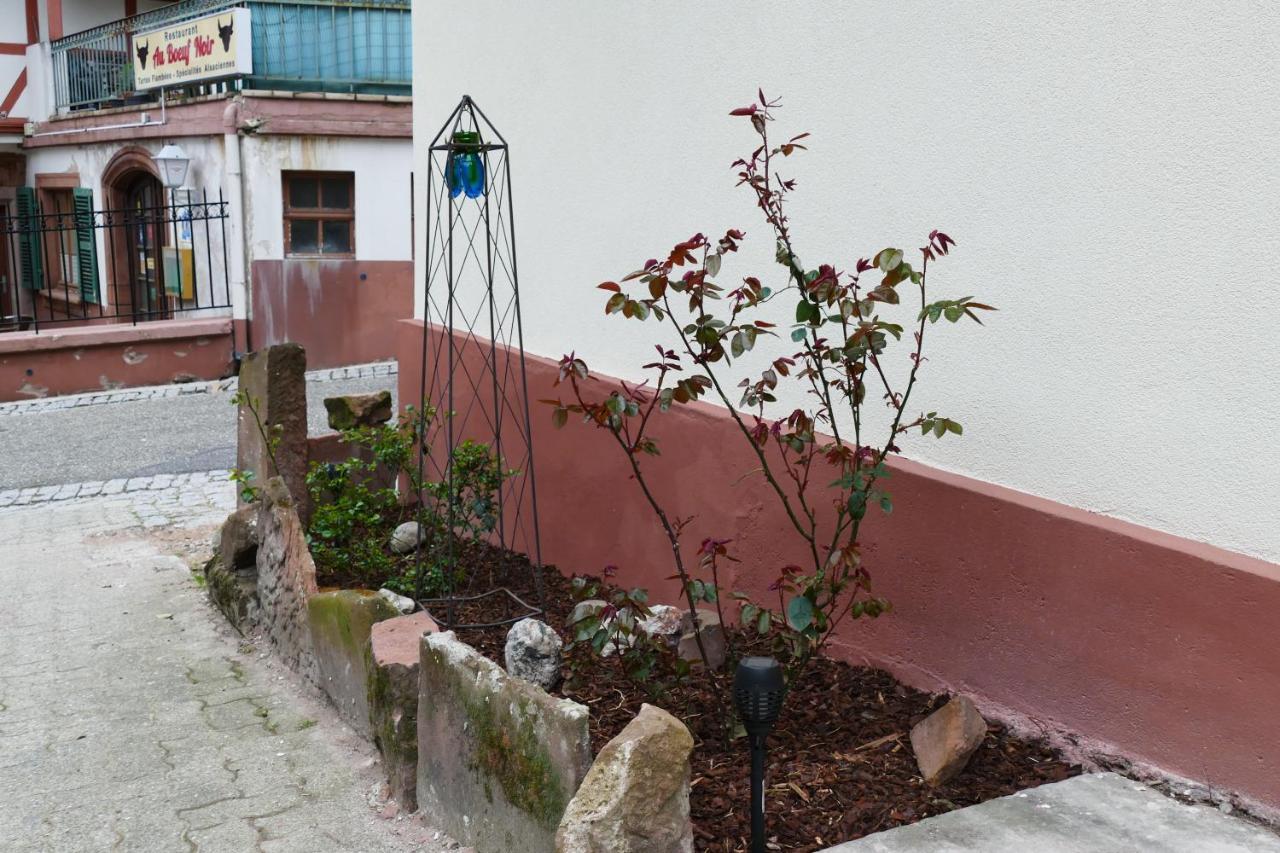 Apartment Le Des Sources: Nature, Randonnees, Detente.